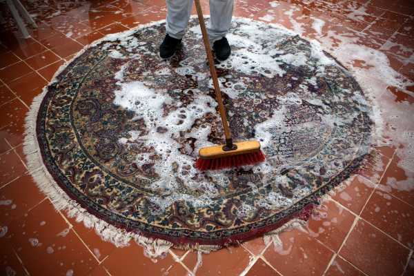 Rinse Clean Indoor Outdoor Rug