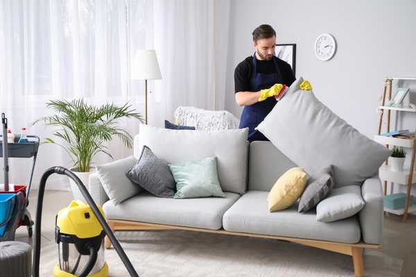 Clean The Cushions (1)