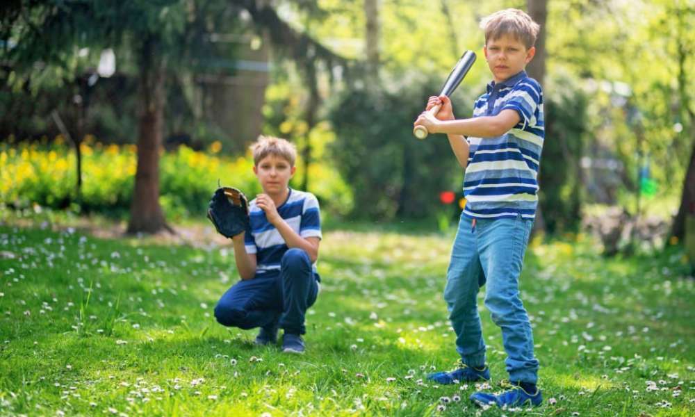 How To Play Backyard Baseball
