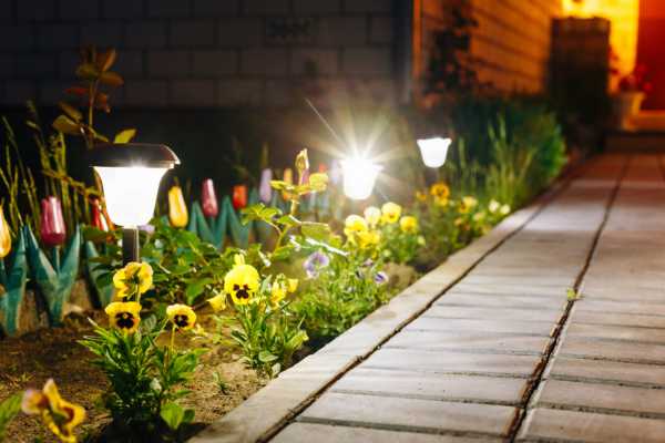 Low-Voltage Pathway Lights