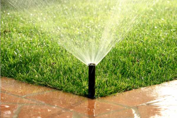 Prepare For Irrigation Turf
