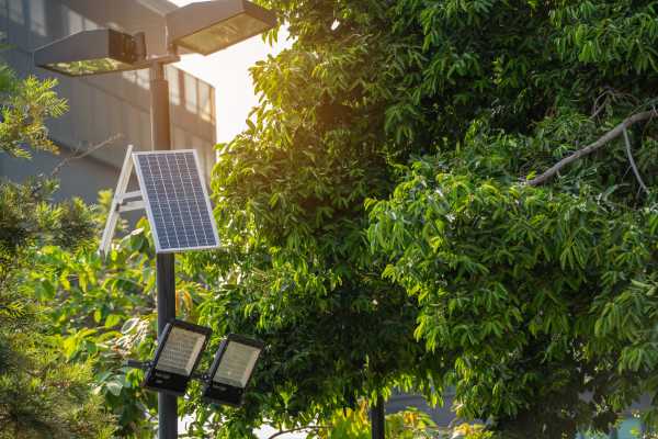 Solar-Powered Path Lights