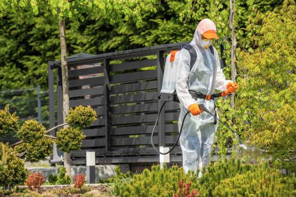 Applying Insecticides Safely