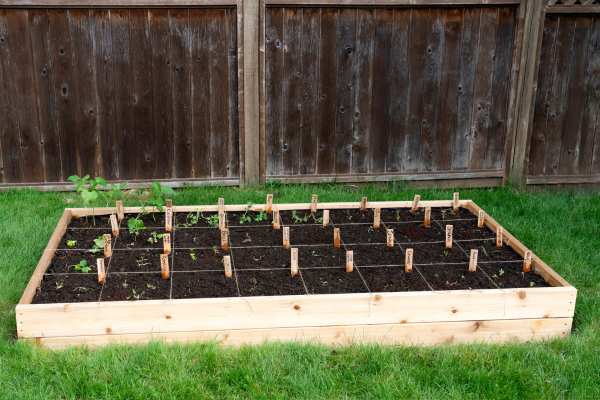 Garden Bed Cheap Assembling The Frame