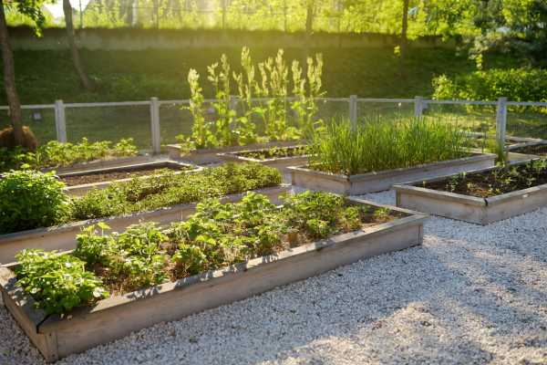 Green & Brown Matter Raised Garden Bed Cheap