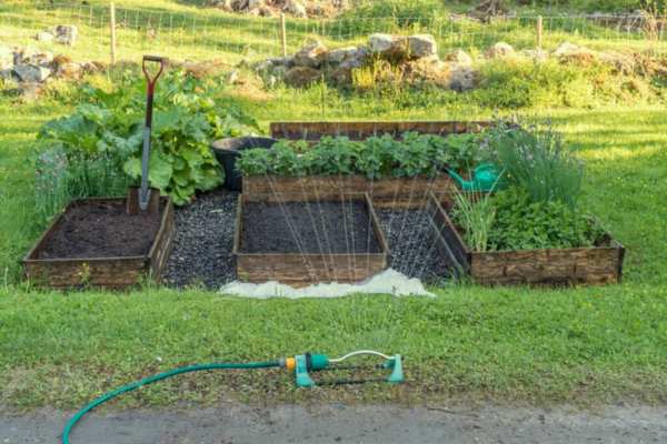 Installing A Watering System 