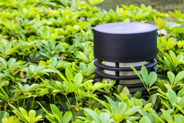 Sound And Motion-Activated Devices In Garden