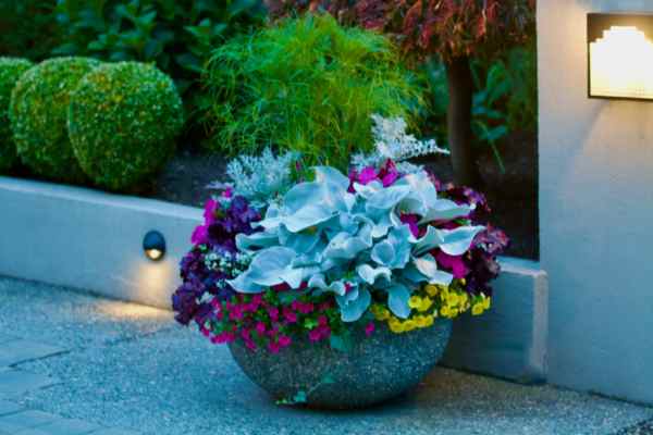 Lighting And Ambiance Container Gardening