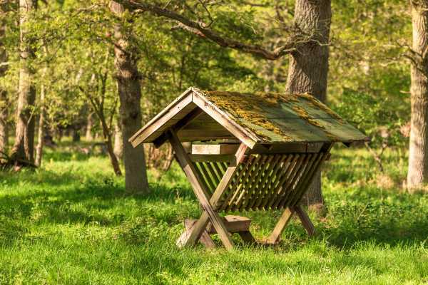 Managing Deer Feeding Stations