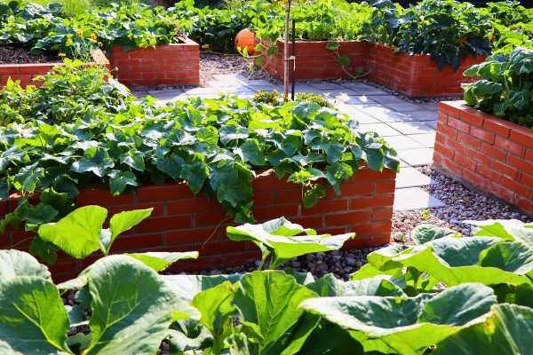 Revitalizing Plant Beds To Clean Up Landscaping