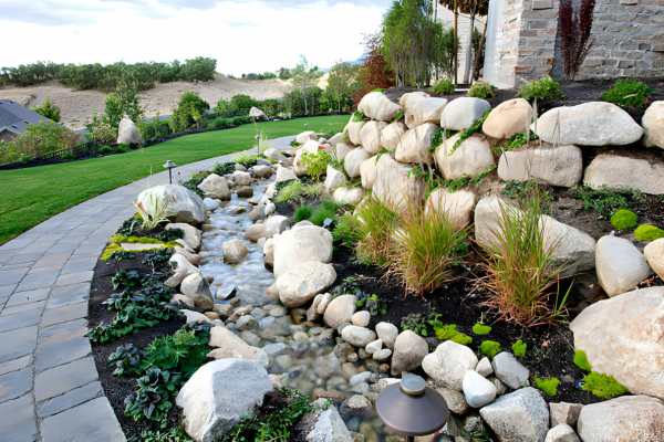 Protecting Your Landscape