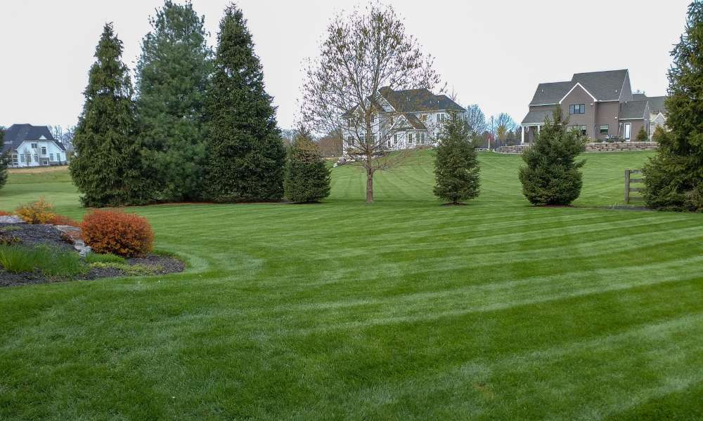 How To Do Lawn Striping