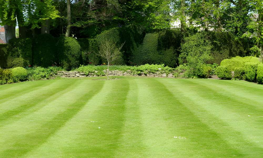 How To Stripe Lawn Without Roller