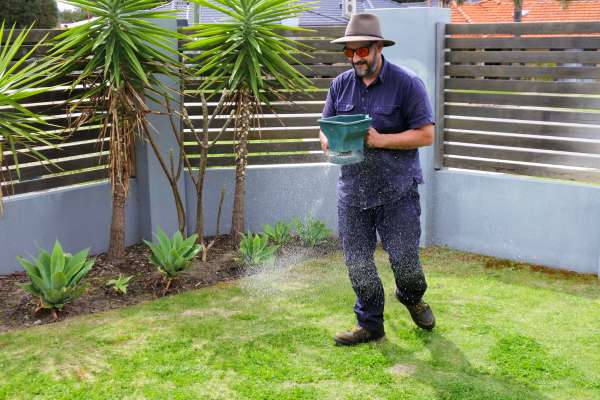 Caring For Newly Planted Grass