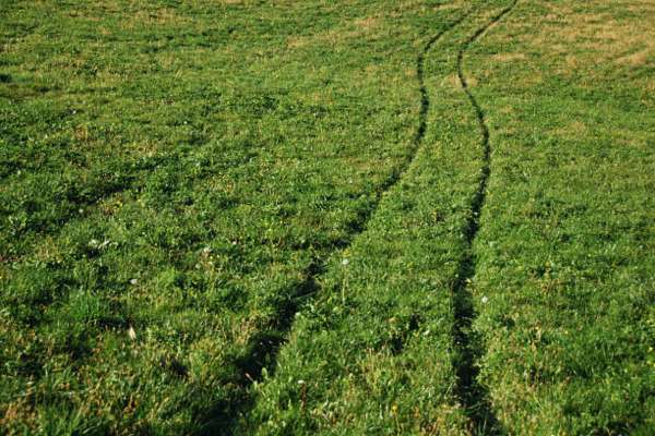 Grass Damage Prevention