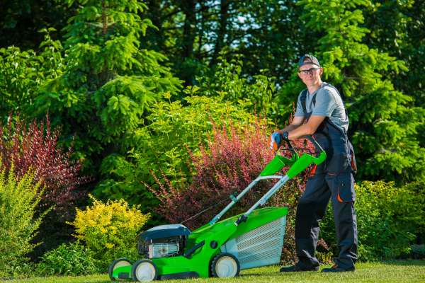 Hiring Professional Lawn Renovation Services