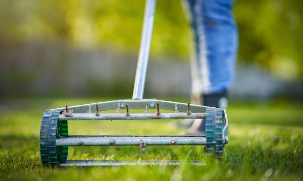 How To Aerate Lawn