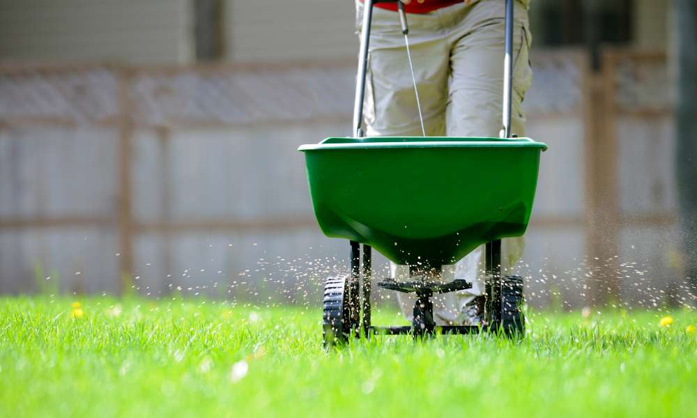 How To Fertilize Lawn