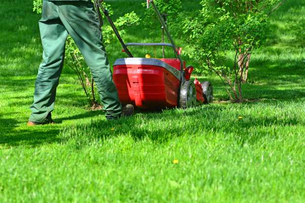 Keeping A Lawn Care Journal