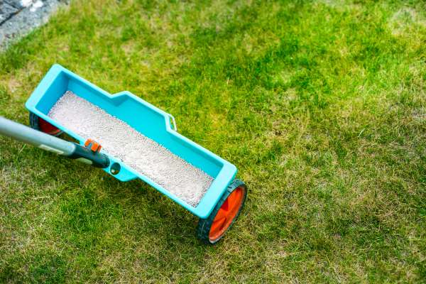Proving Fertilizer For Lawn Recovery