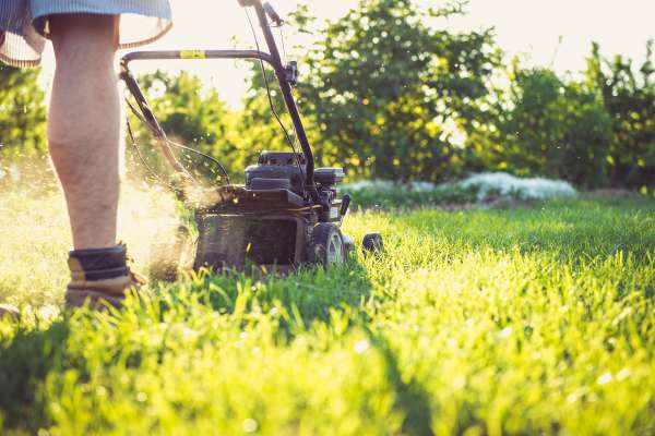 Regular Mowing And Lawn Care