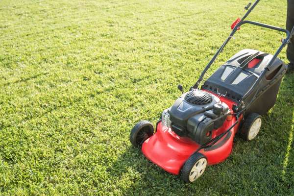 Repairing Damaged Areas In The Lawn
