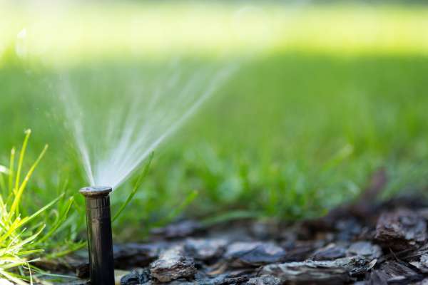 Using Irrigation Systems Effectively