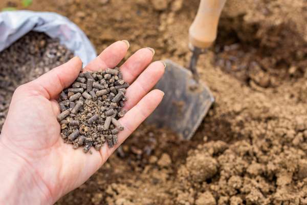 Utilize Biochar As A Soil Amendment