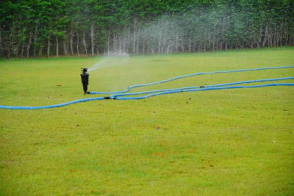Watering The Lawn Appropriately