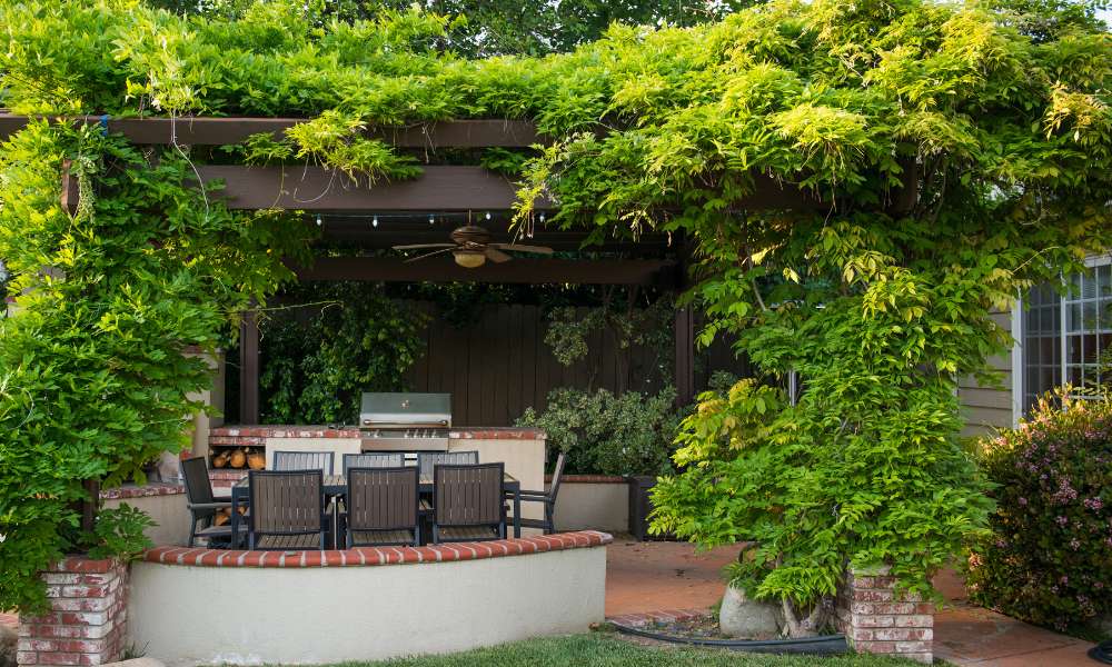 How To Decorate A Pergola With Plants