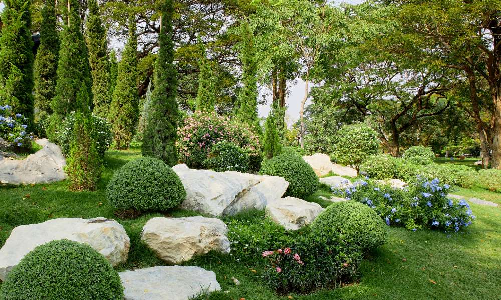 How To Landscape Backyard