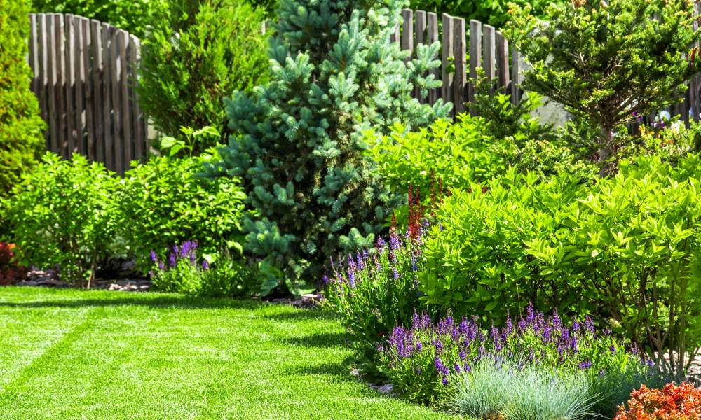 How To Start A Garden In Your Backyard