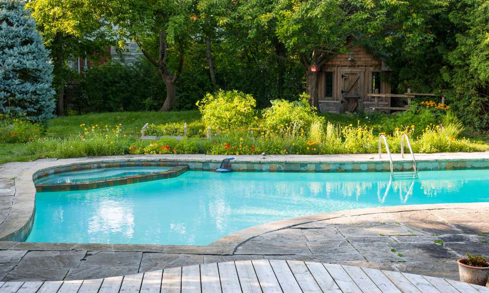 How To Build A Swimming Pond In Your Backyard