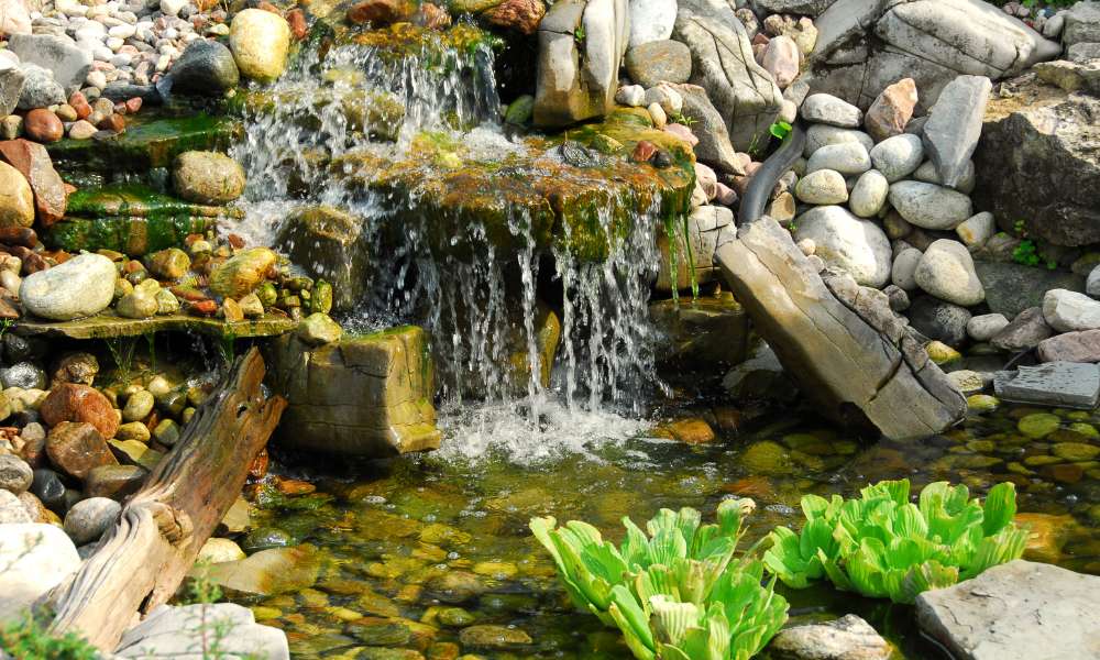 How To Build A Waterfall Pond In The Backyard