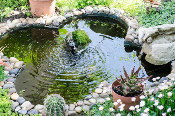 Pond Shape And Style Options