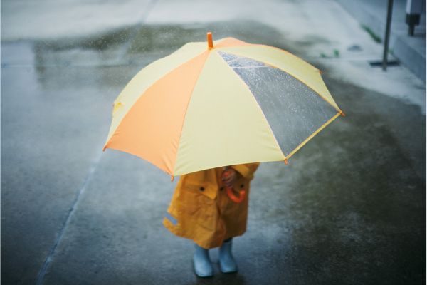 Eco-Friendly and Sustainable Umbrella Options