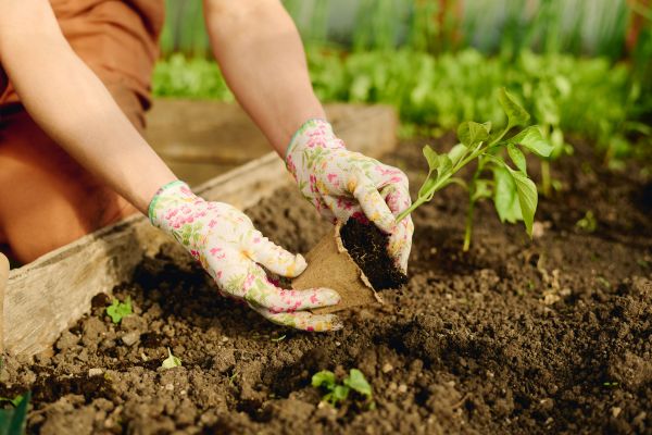 Preparing Your Garden Soil for Planting