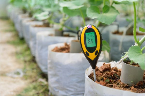  Test Your Soil pH Before Adding Lime