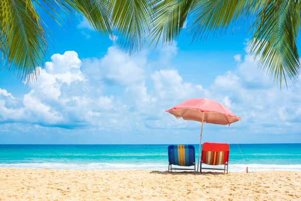 Top Features to Look for in a Beach Umbrella