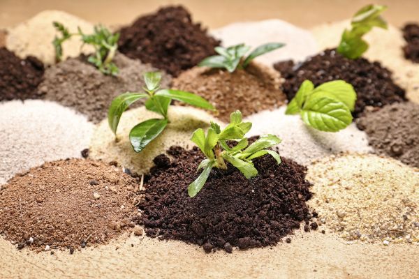 Types of Garden Soil